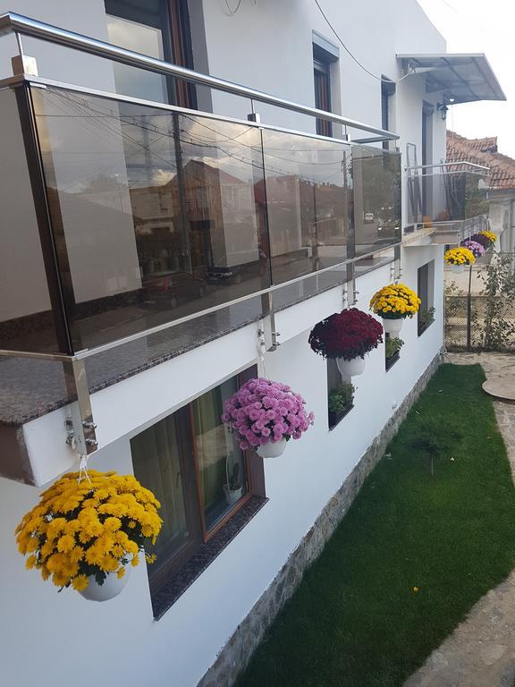 Casa Davison Apartment Targu Jiu Exterior photo