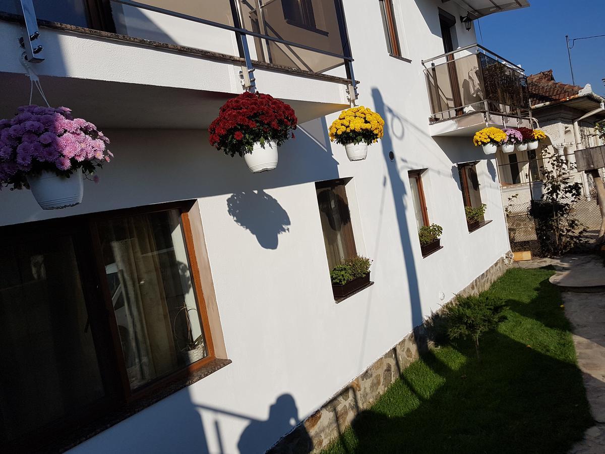 Casa Davison Apartment Targu Jiu Exterior photo
